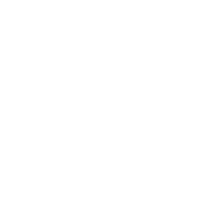 Roberto Scottini